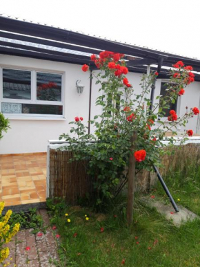 Bungalow Usedom Koserow